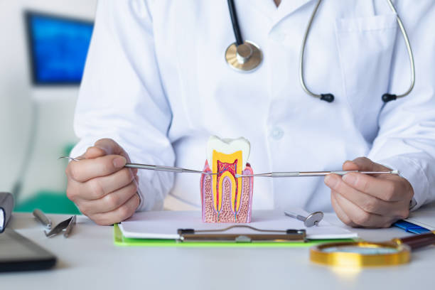 Best Tooth Infection Emergency Dentist  in Rogers City, MI